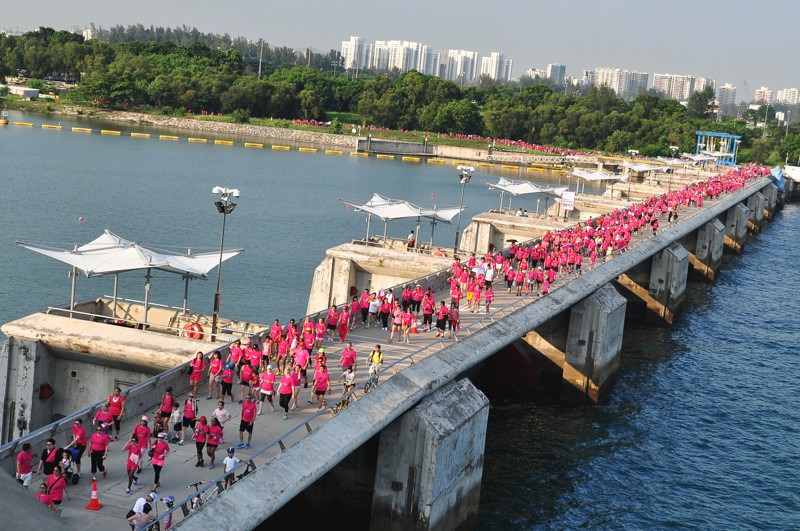 La "Pink Ribbon Walk" a rassemblé 4.000 personnes le 27 septembre dernier à Singapour. ©Breast Cancer Foundation
